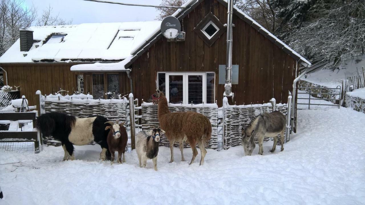 Вилла Funny-Farm Sassen Экстерьер фото