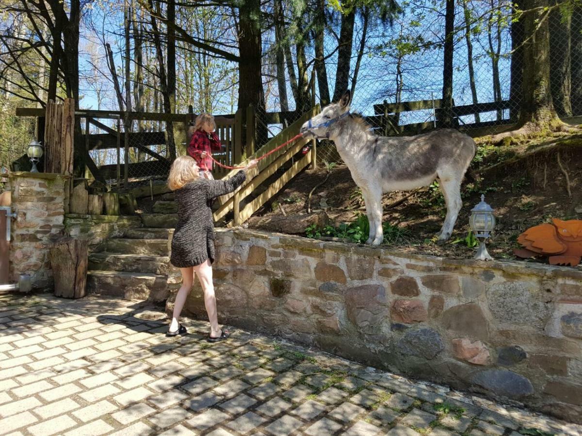 Вилла Funny-Farm Sassen Экстерьер фото